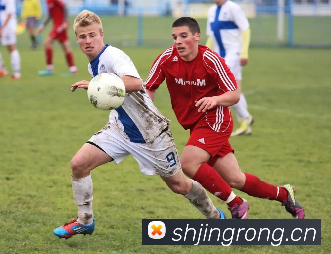 星空体育综合体育官网入口平台生态图